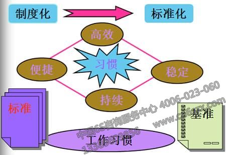 6S是标准化的推动者（Standardization）