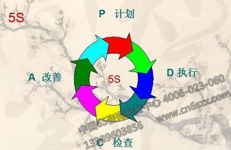 分享年末现场5S管理工作总结