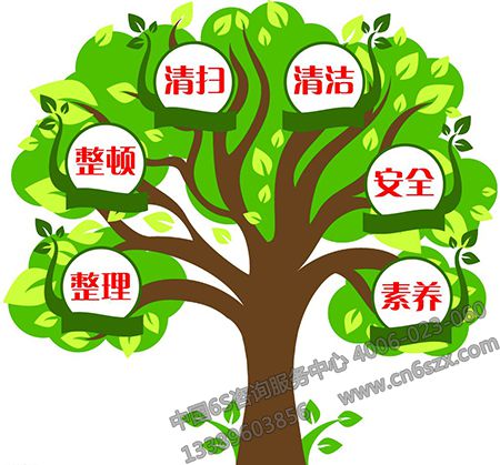 分厂6S管理推行感想