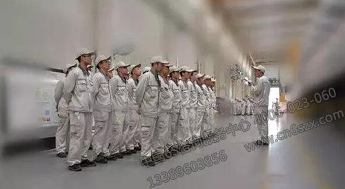 带新人和治老油条，都是一门艺术