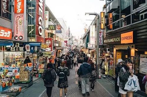 中央智囊层：正视我国与日本发展的巨大差距