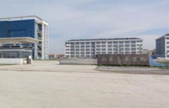 山东三岳化工有限公司