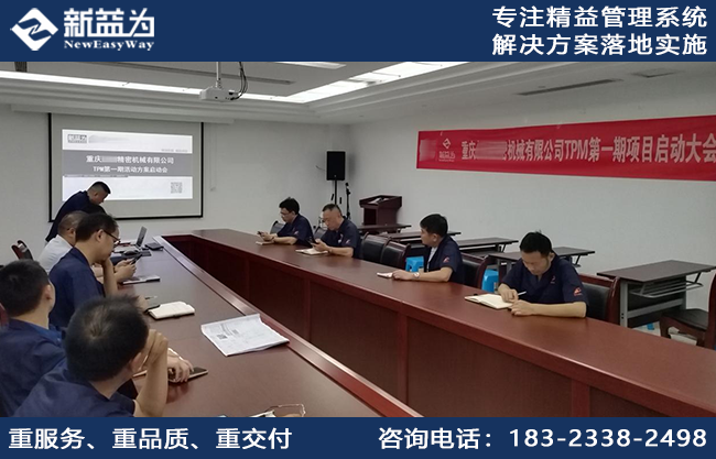 TPM咨询